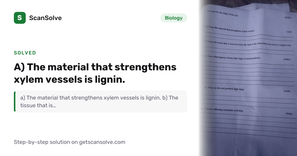 Solved: a) The material that strengthens xyl… | Biology | ScanSolve