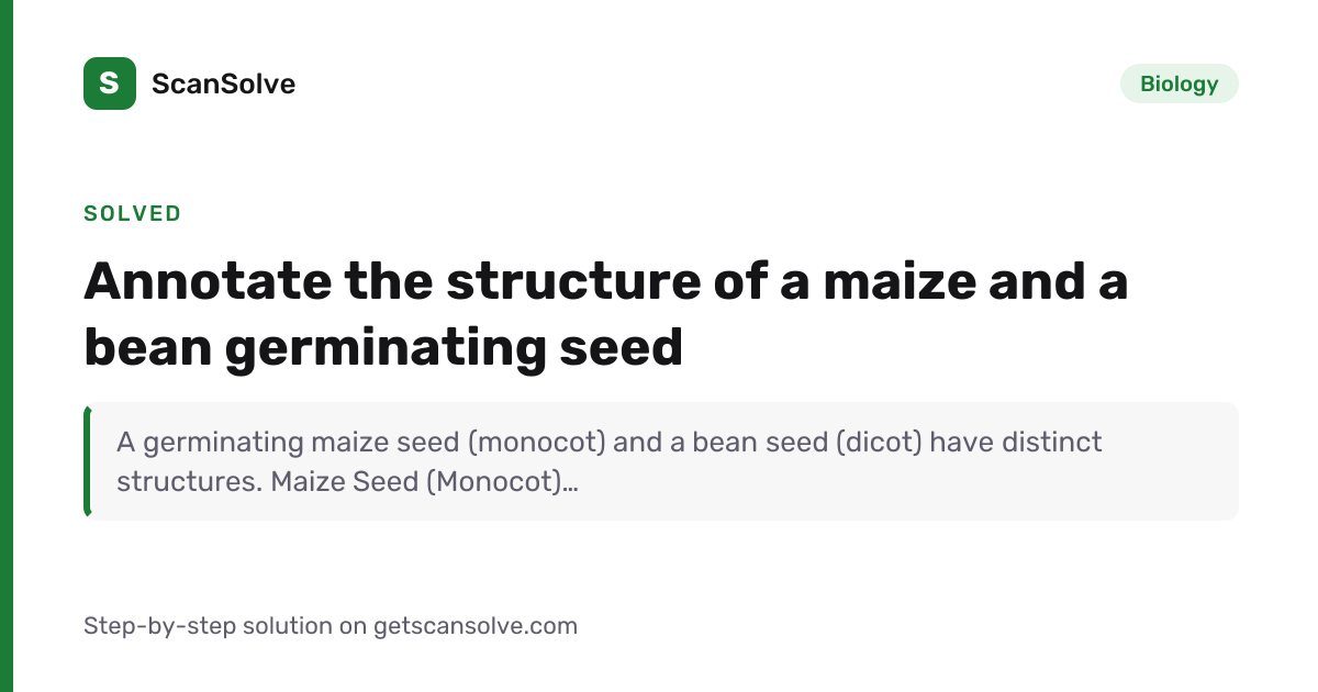 Solved: Annotate the structure of a maize an… | Biology | ScanSolve