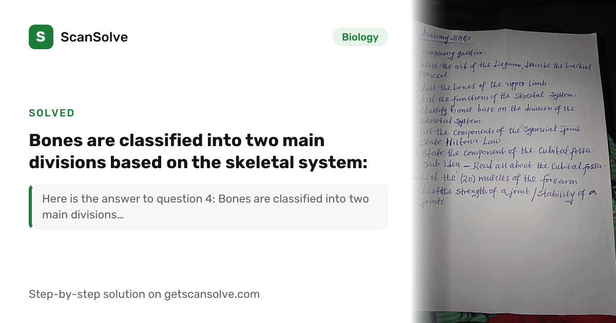 Solved: Bones are classified into two main d… | Biology | ScanSolve