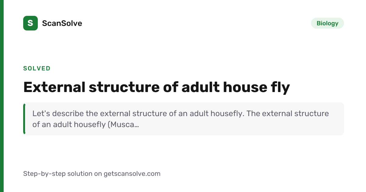 Solved: External structure of adult house fl… | Biology | ScanSolve