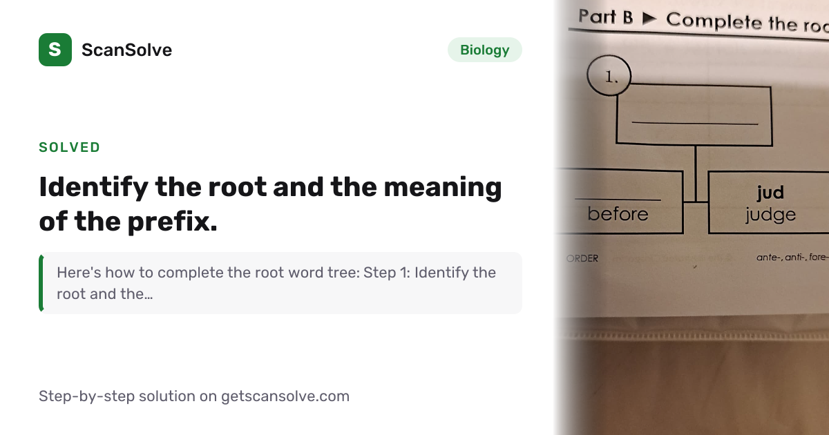 Solved: Identify the root and the meaning of… | Biology | ScanSolve