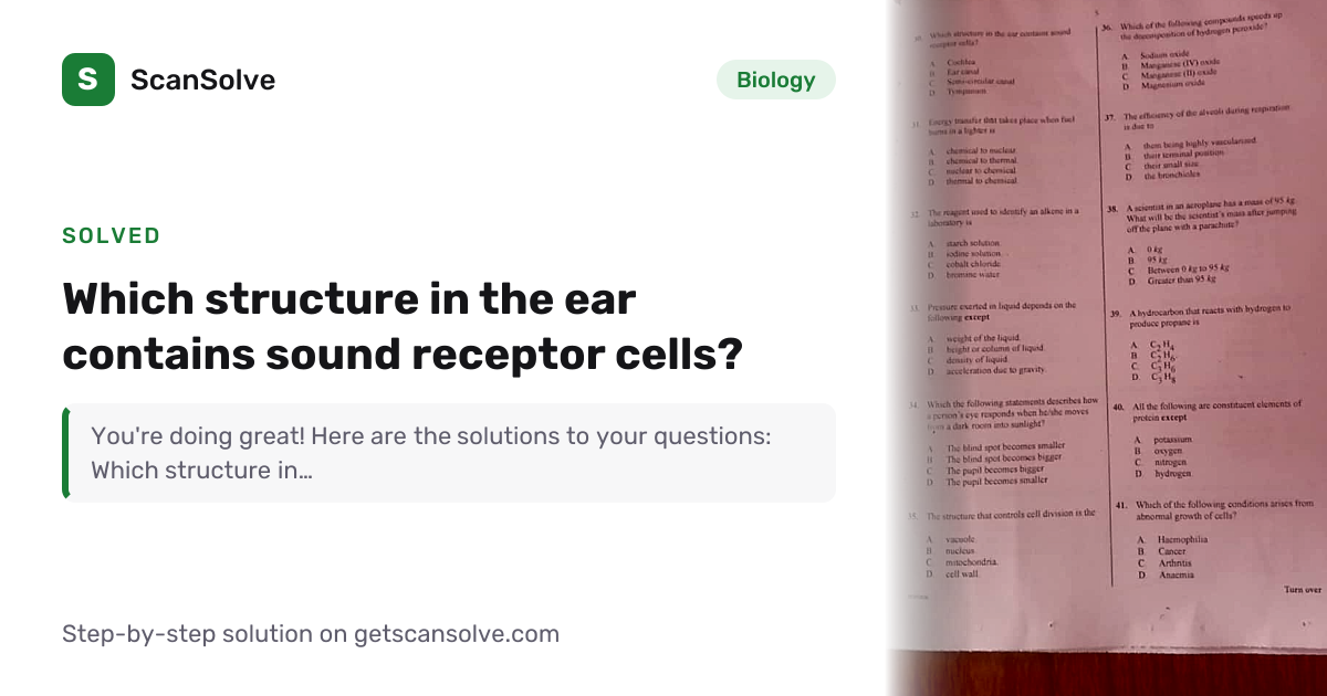 Solved: Which structure in the ear contains… | Biology | ScanSolve