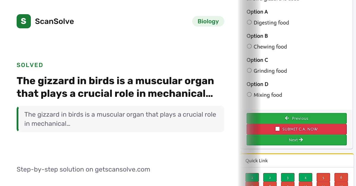 Solved: The gizzard in birds is a muscular o… | Biology | ScanSolve