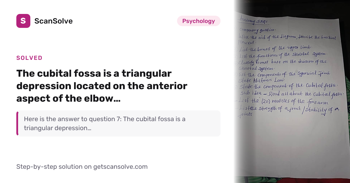 Solved: The cubital fossa is a triangular… | Psychology | ScanSolve