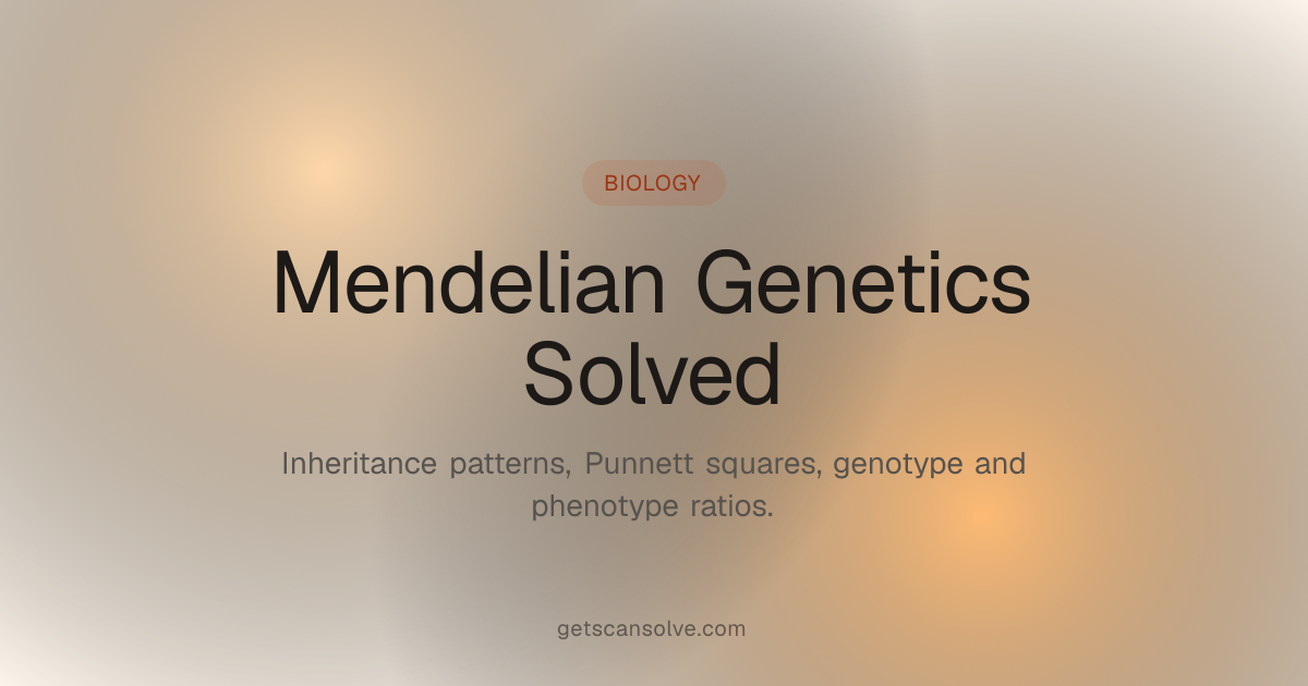 Master Mendelian Genetics: Step-by-Step Guide | ScanSolve