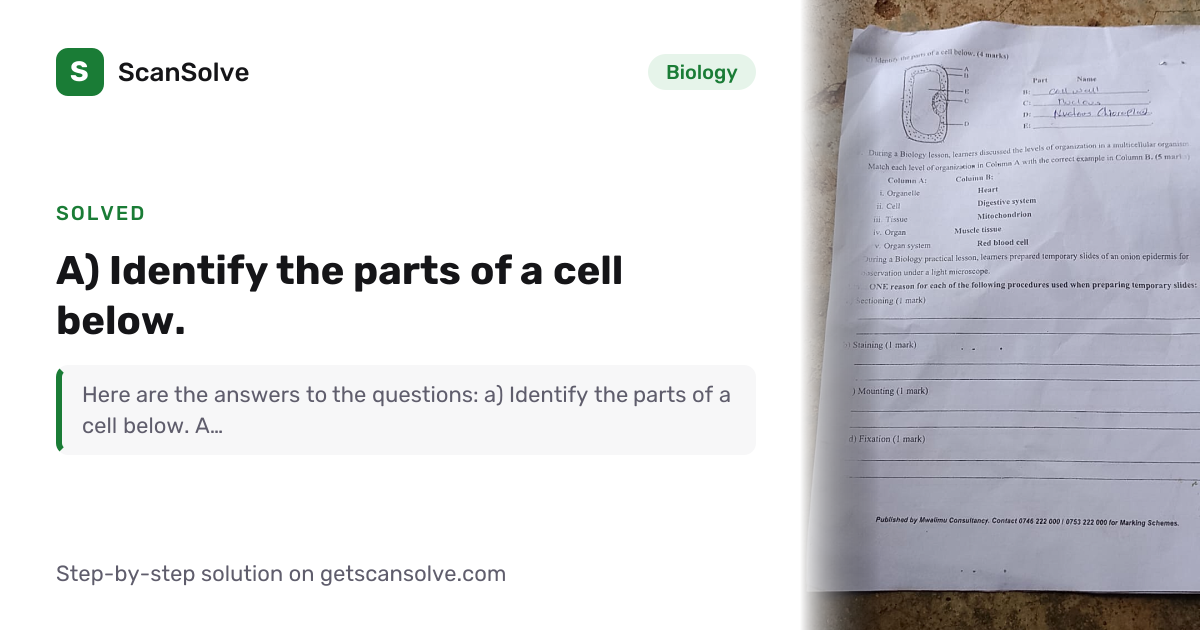 Solved: a) Identify the parts of a cell belo… | Biology | ScanSolve