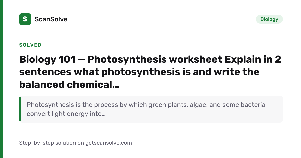 Homework Question | ScanSolve