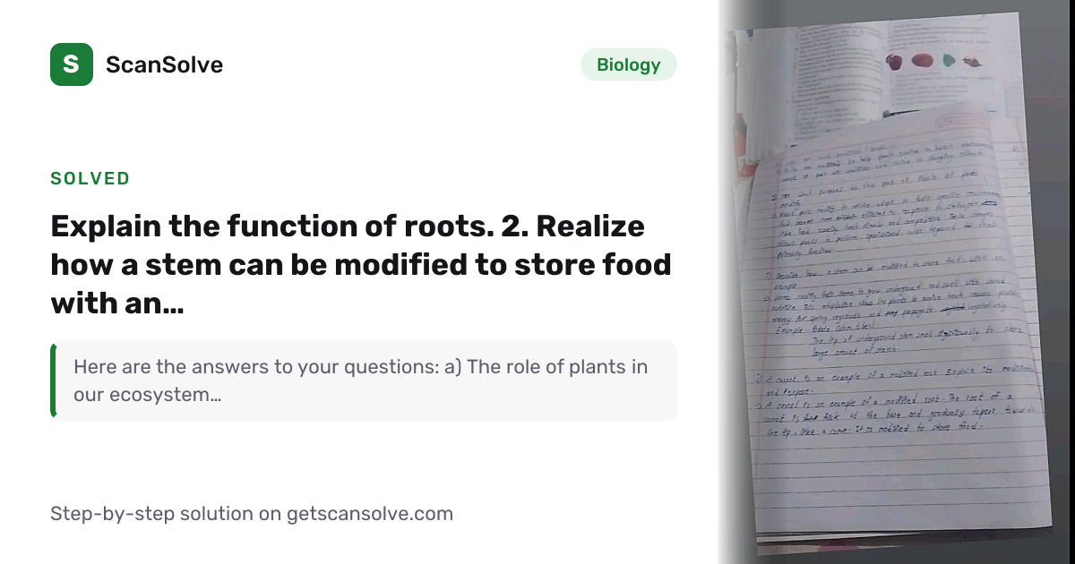 Solved: Explain the function of roots. 2. Re… | Biology | ScanSolve