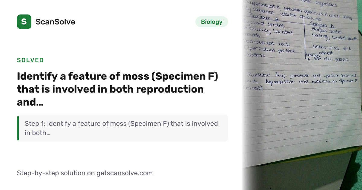 Solved: Identify a feature of moss (Specimen… | Biology | ScanSolve