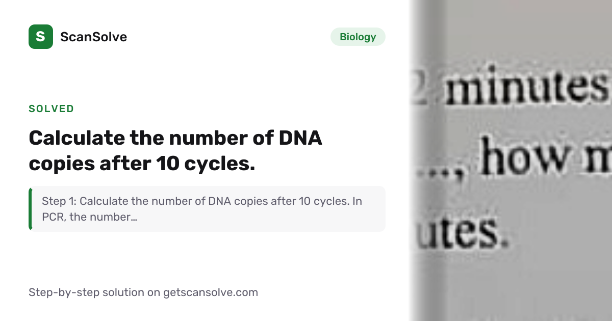 Solved: Calculate the number of DNA copies a… | Biology | ScanSolve
