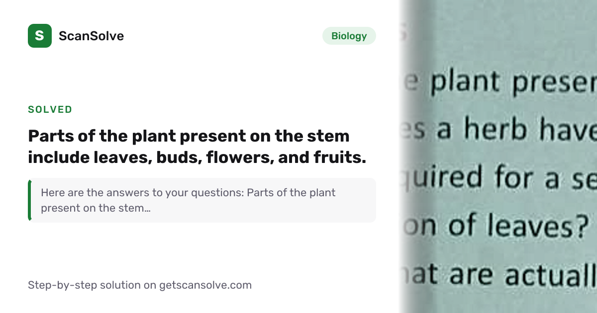Solved: Parts of the plant present on the st… | Biology | ScanSolve