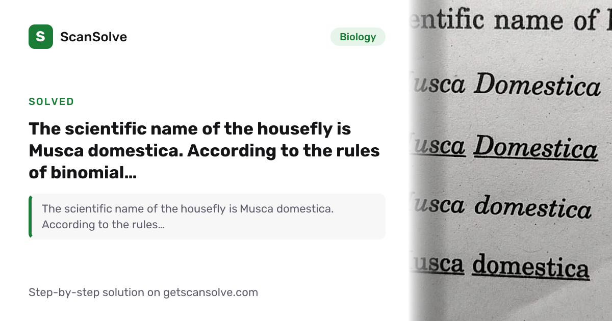 Biology: The scientific name of the housefly is Musca domestica ...