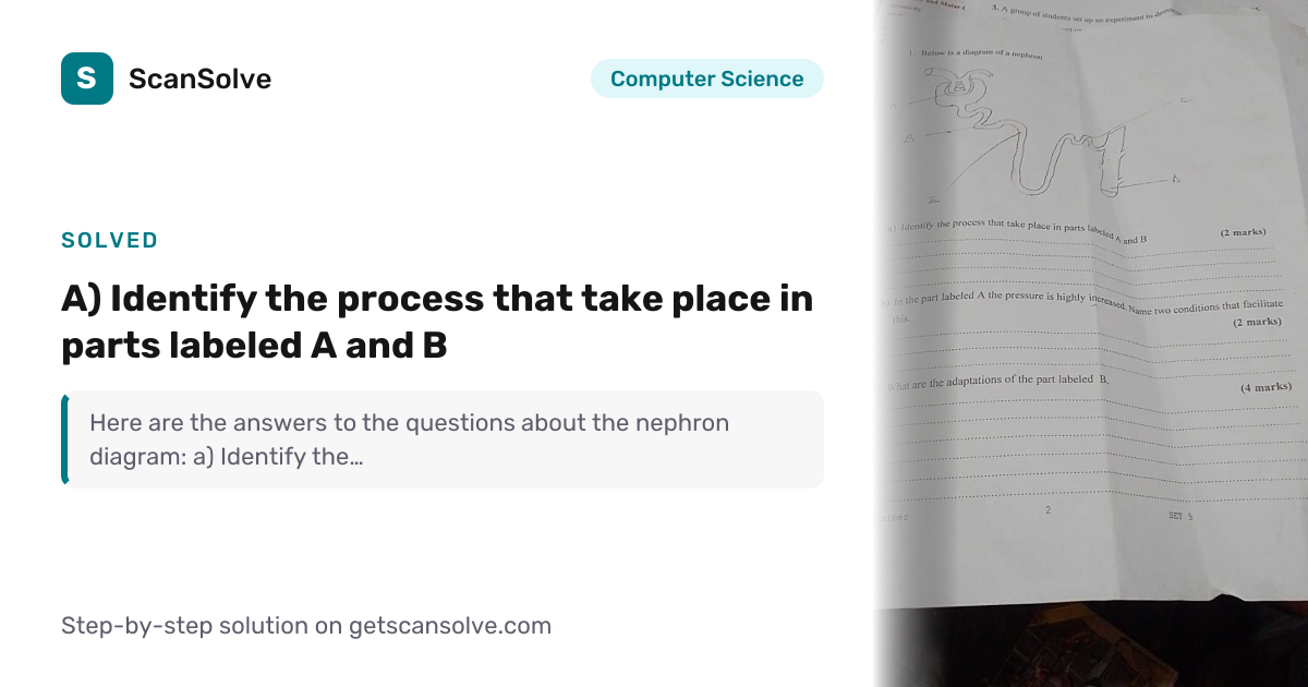 Solved: a) Identify the process tha… | Computer Science | ScanSolve