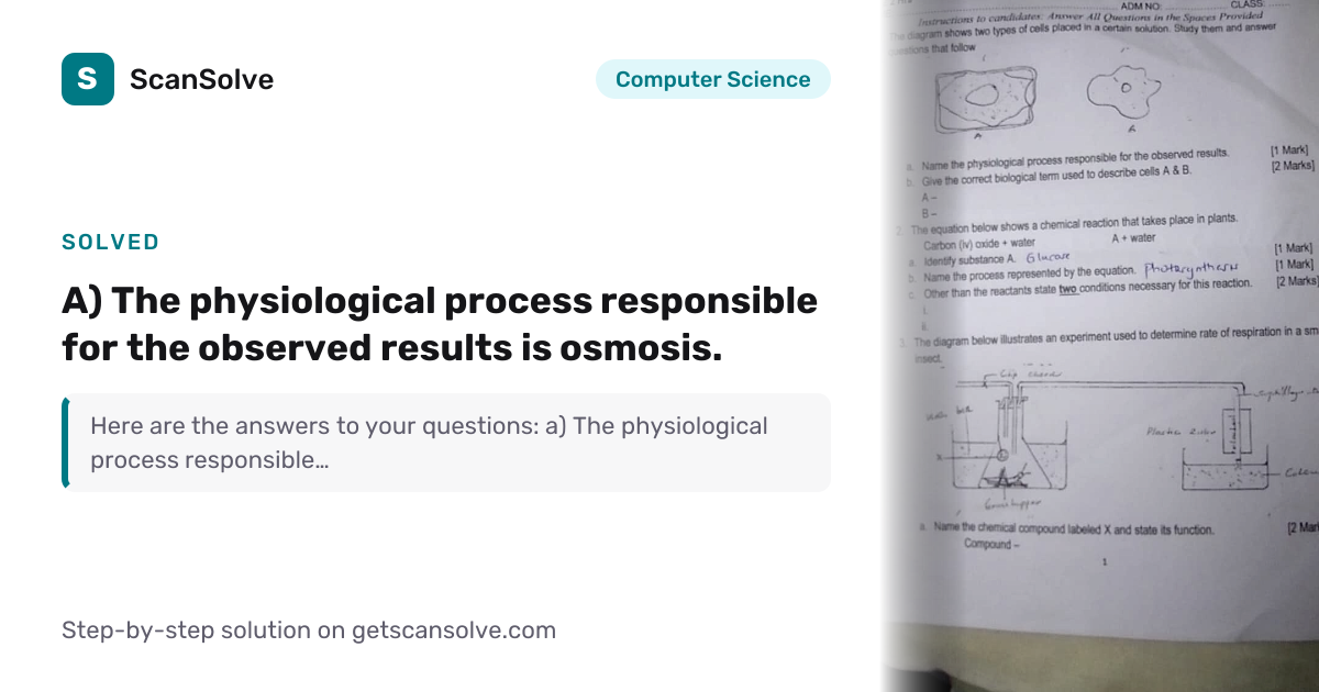 Solved: a) The physiological proces… | Computer Science | ScanSolve